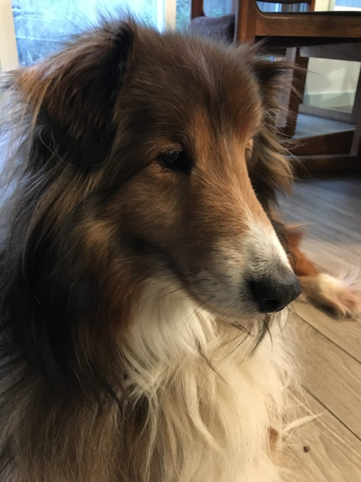 Newsletter (Dec.2025)